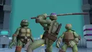 Trans-Dimensional Turtles still