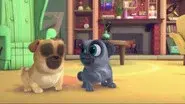 Take Me Out To The Pug Game still