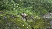 Honduran Hell still