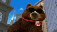 The Unshakeable Bear still