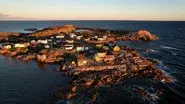 An Island Off An Island; Caligula's Gardens; Return to Gorongosa still