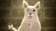Episode Twenty: Dog. still