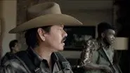 We Are Not Animals still