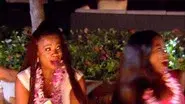 Lei It All on the Table still
