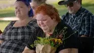 Sunflower still
