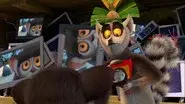 Lord of the Fruit Flies still