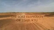 The Lost Elephants of Timbuktu still