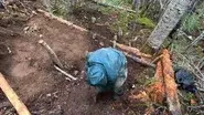 The Law of the Land still