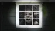 Poltergeist Stalks Family in Houston and More still