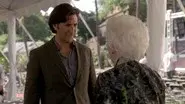 Happily Ever After still