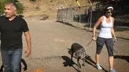 Twice Bitten still