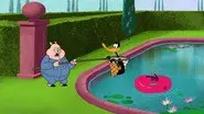 Point Duck Percent still