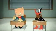 Test Pest still