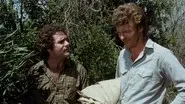 Weed Wars still