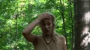 King of the Forest still