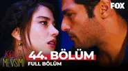 Episodio 44 still