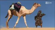 Living in the Desert still