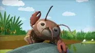 Octonauts and the Crawfish still