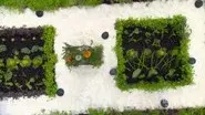 Heston Blumenthal Week Day 3: Medieval Knights Feast still
