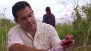 Swamp Thing still