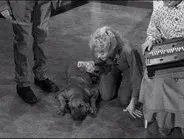 Duke Steals a Wife still