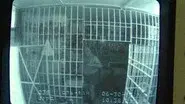 Nightmares of Treblinka still