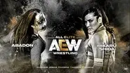 AEW Dark #24 still