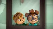 The Crush still