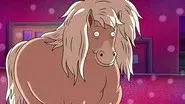 Secret Horse still
