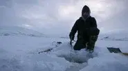 Cold Harvest still