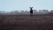 High Risk, High Reward still