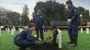 The Soldier on the Grave still