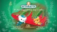 The Loggerhead Sea Turtle still