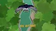 Eel-lectric! still