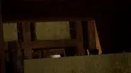 Scaretrux still