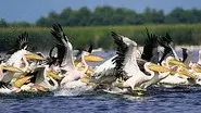 Danube Delta: Europe Untamed still