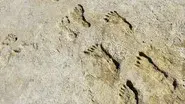 Ice Age Footprints still