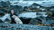 Dead in the Water still