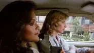 Mitchell & Woods still