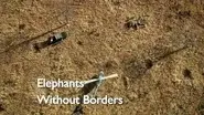 Elephants without Borders still