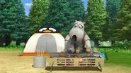 Camping and Bird still