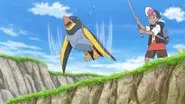 Fly! Wattrel!! still