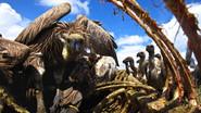 Vultures: Beauty in the Beast still