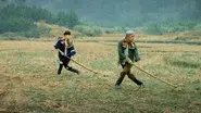 A Modern Farmer still