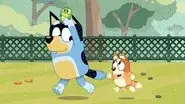 Turtleboy still