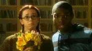 Wallflower still