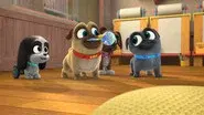 Puppy-Ki-Yay! still