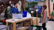 A Living Trilobite still