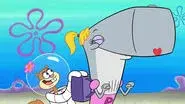 A Cabin in the Kelp still