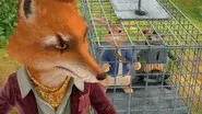 The Tale of the Locked Cage still
